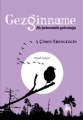 Gezginname