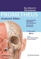 Anatomi Atlası Prometheus Cilt 3