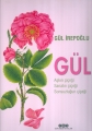 Gül Kitabı  1.Baskı
