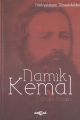  EDEB.ZİRVE.NAMIK KEMAL