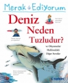 Merak Ediyorum Deniz Neden Tuzludur?