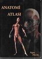 Anatomi Atlası