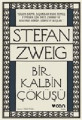  Bir Kalbin Çöküşü