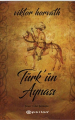 Türk'ün Aynası