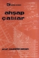 Ahşap Çatılar