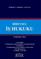 Bireysel İş Hukuku