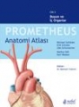 Prometheus Anatomi Atlası - Cilt 2 Boyun ve İç Organlar