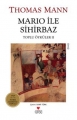 Mario ile Sihirbaz