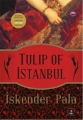 Tulip of Istanbul