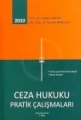 Ceza Hukuku Pratik Çalışmaları