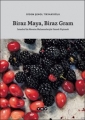 Biraz Maya, Biraz Gram  1.Baskı