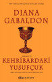 Kehribardaki Yusufçuk