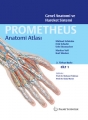 Anatomi Atlası Prometheus Cilt 1