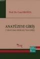 Anatüzeye Giriş