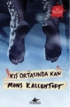 Kış Ortasında Kan