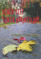  Seher Yeli Yürek Kırıntıları