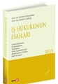 İş Hukukunun Esasları
