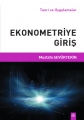 Ekonometriye giriş