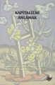 Kapitalizmi Anlamak
