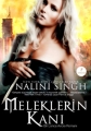 Meleklerin Kanı