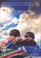 Uçurtma Avcısı Cep boy