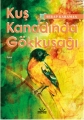  Kuş Kanadında Gökkuşağı