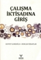 Çalışma İktisadına Giriş