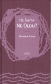 Hz. İsa'ya Ne Oldu