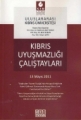 Kıbrıs Uyuşmazlığı Çalıştayları