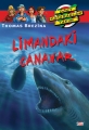  Limandaki Canavar & Büyük Dört Kafadarlar Takımı