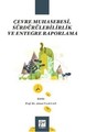 Çevre Muhasebesi, Sürdürülebilirlik ve Entegre Raporlama