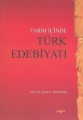 Tarih İçinde Türk Edebiyatı