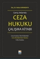  Geniş Anlamda Ceza Hukuku Çalışma Kitabı
