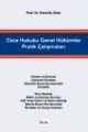  Ceza Hukuku Genel Hükümler Pratik Çalışmaları