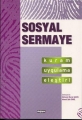 Sosyal Sermaye Kuram Uygulama Eleştiri