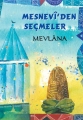 Mesnevi'den Seçmeler Mevlana
