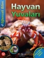 Eğlenceli Bilim & Hayvan Yuvaları