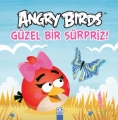 Angry Birds Güzel Bir Sürpriz!