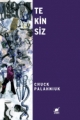 Tekinsiz