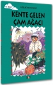 Kente Gelen Çam Ağacı