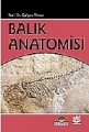 Balık Anatomisi