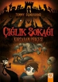Çığlık Sokağı İskelet Kafatası