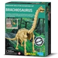 Brachiosaurus (Brachiosaurus Skeleton Excavation)