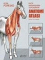 Evcil Hayvanların Topografik Anatomi Atlası - Popesko
