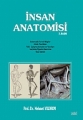  İnsan Anatomisi