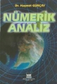Nümerik Analiz