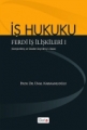 İş Hukuku 1 (Ferdi İş İlişkileri )