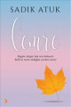 Cemre