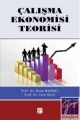 Çalışma Ekonomisi Teorisi