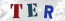 Güvenlik Resmi